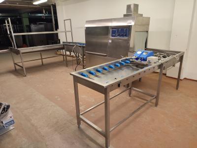 Electrolux tunnel dishwasher image