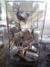 IMG_20210421_103631co.jpg